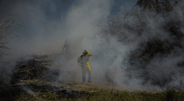 Extensión del aviso de calidad del aire se debe al humo proveniente de los incendios forestales