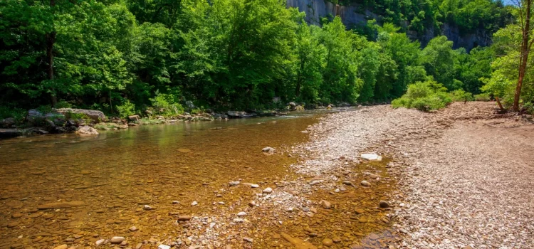 PepsiCo enfrenta demanda por contaminación plástica en el río Buffalo
