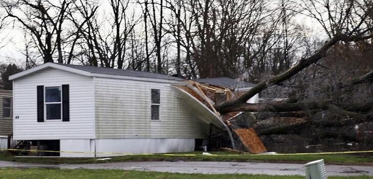 Mueren 3 menores por caída de un árbol durante una tormenta en Michigan Mueren 3 menores por caída de un árbol durante una tormenta en Michigan