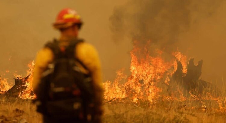 El mayor incendio forestal del año en California arrasa más de 28.300 hectáreas