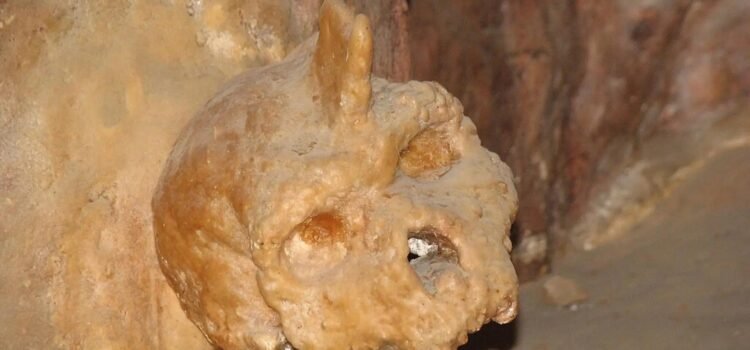 Misterioso cráneo de 300.000 años encontrado en una cueva y que no es humano ni neandertal