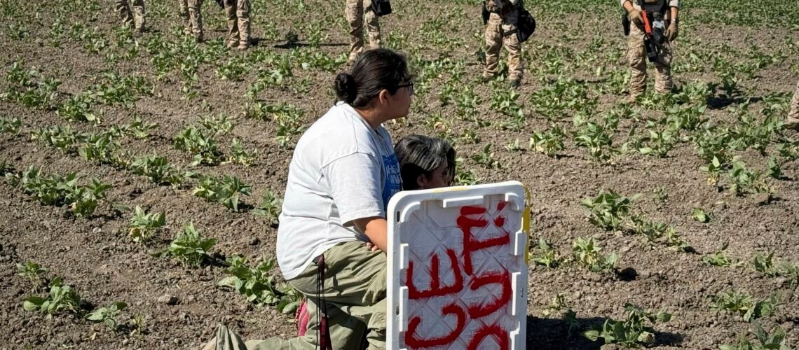 Estudio revela el impacto de las redadas migratorias en la fuerza laboral de California Estudio revela el impacto de las redadas migratorias en la fuerza laboral de California