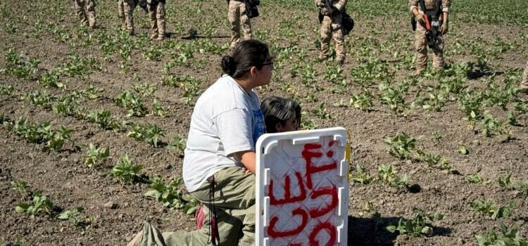 Estudio revela el impacto de las redadas migratorias en la fuerza laboral de California