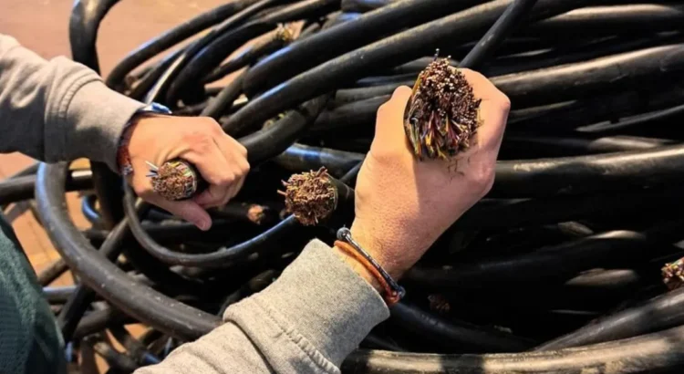 Funcionarios de California se unen para abordar la crisis del robo de cables de cobre